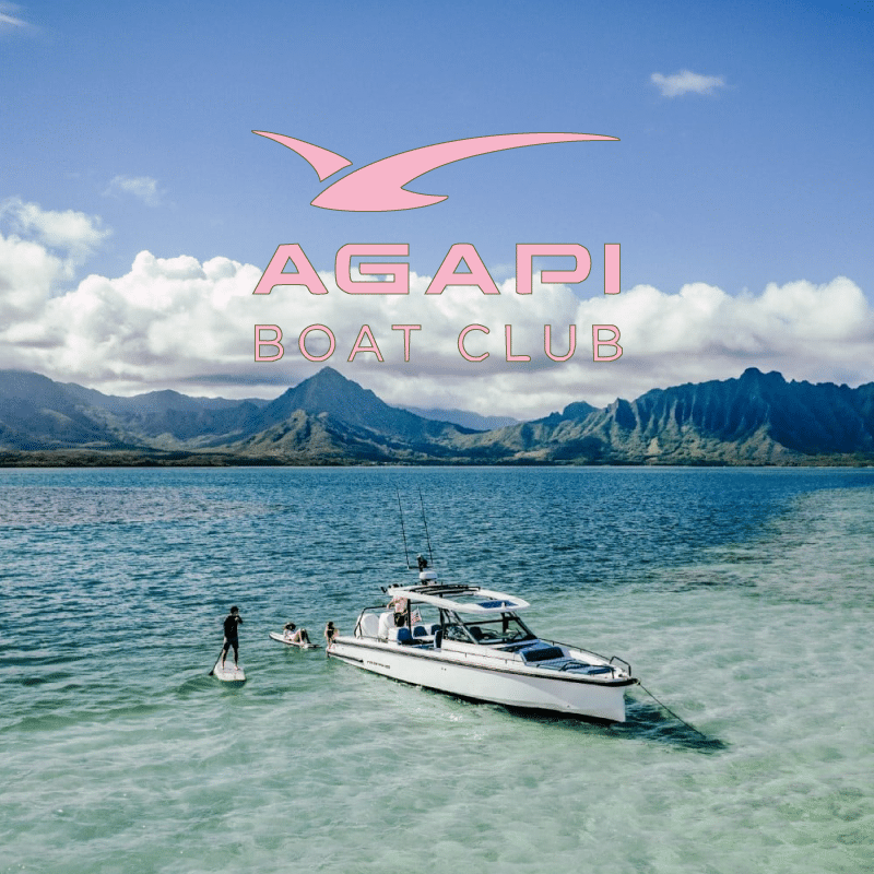 Aloha Vibes Agapi